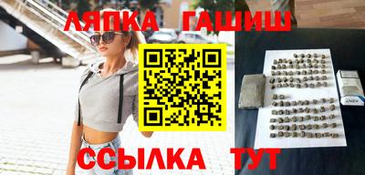 стаф Гатчина