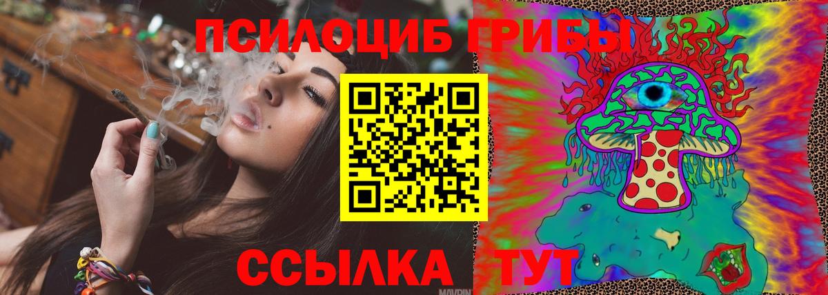 Псилоцибиновые грибы Magic Shrooms  Вход с VPN  Дивногорск  Галлюциногенные грибы Magic Shrooms 