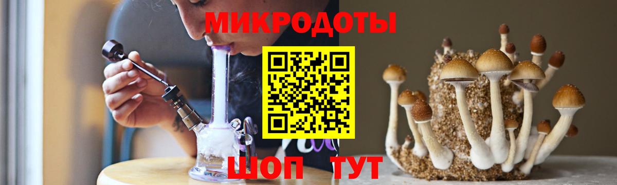 Псилоцибиновые грибы мухоморы Дивногорск